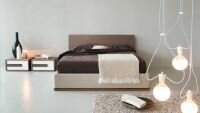 Postel Dream - 